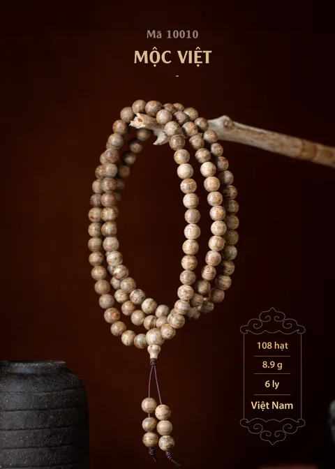 10010 | MỘC VIỆT_img